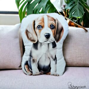 Poduszka maskotka beagle