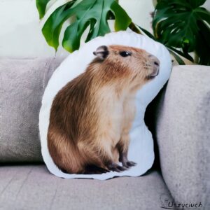 Poduszka kapibara